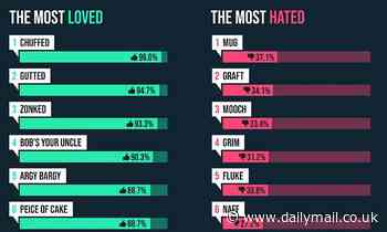 Is YOUR favourite on the list? Study reveals the most loved and hated British slang words