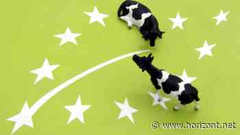 Klimaneutral-Label: EU-Parlament will Werbetexte stärker einschränken