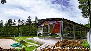 Häfele-Arena: Das Geschenk an Nagold zieht Kosten nach sich