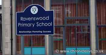 Live power cables outside Newcastle primary school cut in 'extremely dangerous' act of vandalism