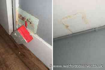 South Oxhey mum living in Thrive Homes property with 'rats and damp'