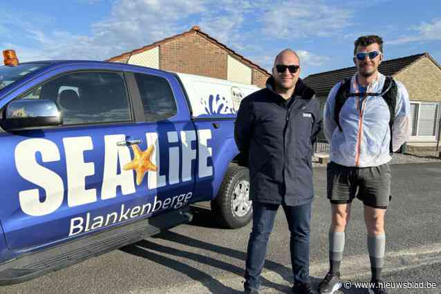 Agent Bart (45) zet zich in voor Sea Life nadat hij zeehondje redt van verstikkingsdood: “Ze kunnen elke eurocent gebruiken”