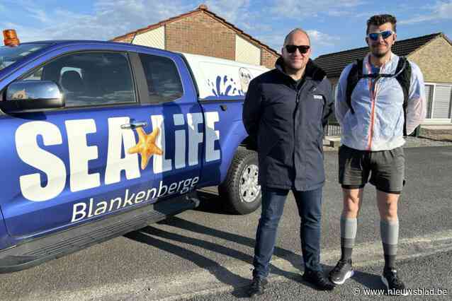 Agent Bart (45) loopt 2 weken lang dagelijks 36 km voor Sea Life nadat hij zeehondje redt van verstikkingsdood: “Ze kunnen elke cent gebruiken”