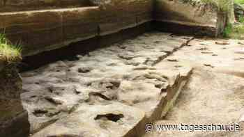 300.000 Jahre alte Fußspuren in Niedersachsen entdeckt