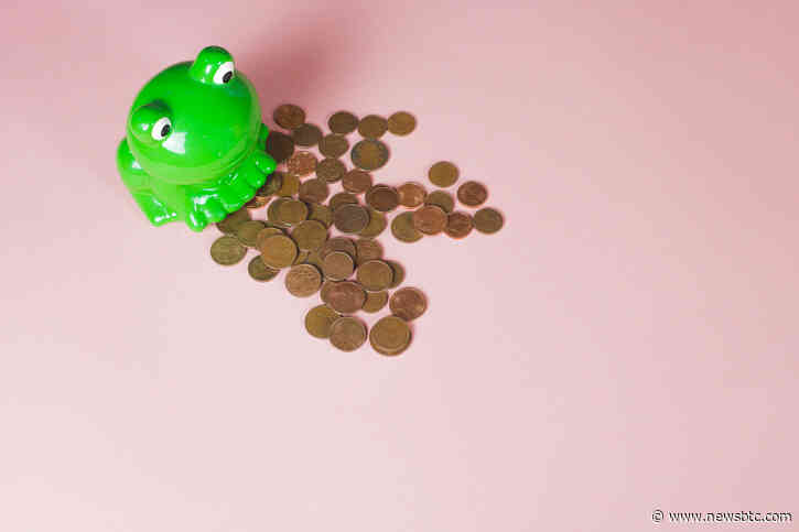 Is Pepe Coin Ready For Another Pump? Here’s What On-Chain Data Says