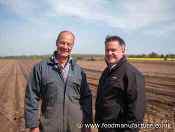 Branston leads way on net zero potato production