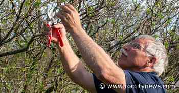 Mark Quinn is the master green thumb who helps Flower City live up to its name