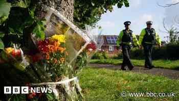 Plymouth shootings: Gun review ordered by coroner still months away