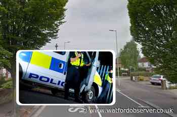 Police find cannabis factory in Sheepcot Lane, Watford