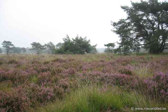 GroenRand roept in brief gemeentebesturen laatste keer op om toch mee te stappen in het nationaal park: “Natuurherstel is samenwerken”
