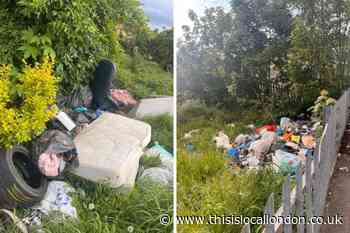 Tenterden Road, Dagenham blighted by fly-tipping, resident says