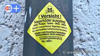 Kieler Experte erklärt: So wirkt Rattengift auf Menschen