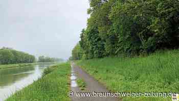 Zwickmühle in Peine – Photovoltaik contra Artenschutz