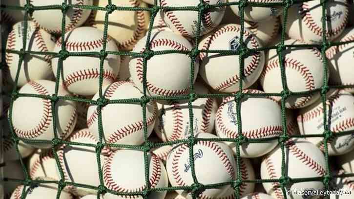 Former B.C. little league treasurer charged with fraud and theft