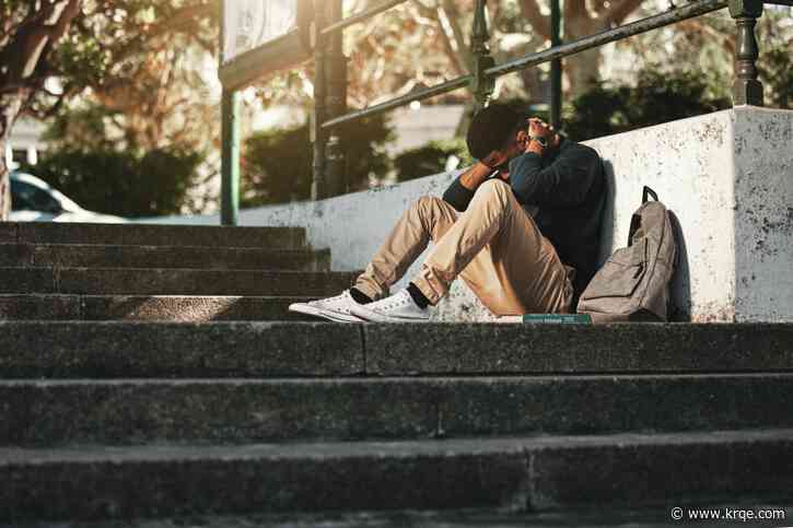 Which New Mexico cities have the most student debt?