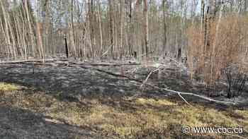 Some relief in Grande Prairie region as parts of evacuation order lifted