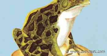 Frogs, Fevers and Fees: Bitcoin’s New Governance Challenge