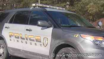 Police Warn of Coyotes Attacking Dogs in Simsbury