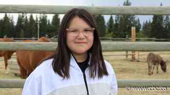 Bison the focus of special field trip for Bow Valley students