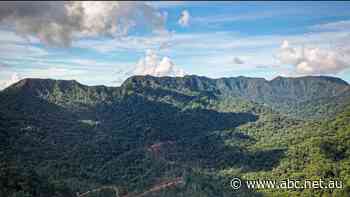 'No retreat, no surrender': Zaira community leader vows to fight Australian man's plans to log 'precious relic'