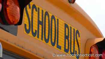 Driver Told Kid to Get in Car While Walking in Brooklyn: School Officials