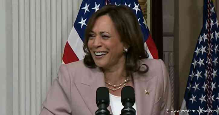 Nobody but Kamala Harris Laughs at Awkward Moment - Now Some Are Wondering Why She Was Acting So Strange