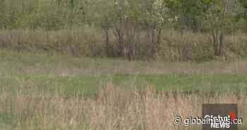 Hot dry southern Alberta forecast elevates fire risk