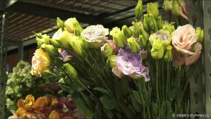 Lethbridge businesses feeling the Mother’s Day fever