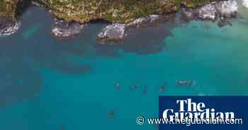 Are New Zealand’s marine heatwaves a warning to the world?