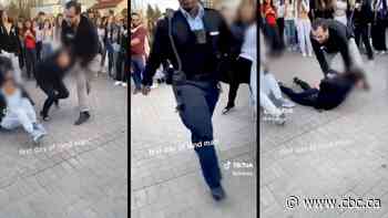 What's behind ‘Wonderland Flight Club’ and string of teen swarmings?