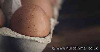 Telltale signs food is unsafe to eat from floating eggs to spots on veg