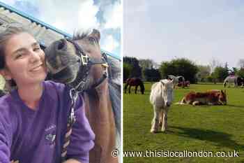 Sutton riders to miss out on equine therapy if ULEZ is rolled out