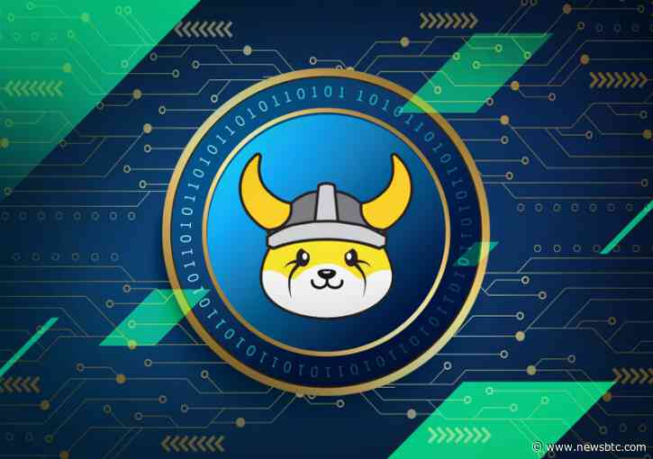 Will Listing Of Floki Inu On Brazil’s Largest Exchange Boost Meme Coin’s Price?