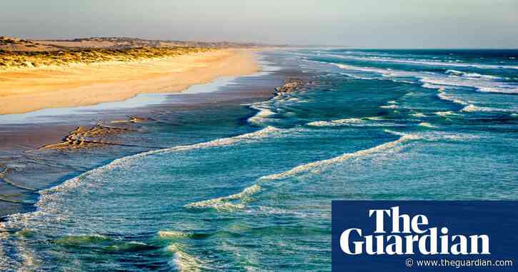 Man, 46, missing and believed dead after shark attack in South Australia