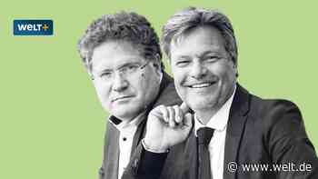 „Grüne Machtübernahme“ – der Griff nach der Dena lässt tief blicken