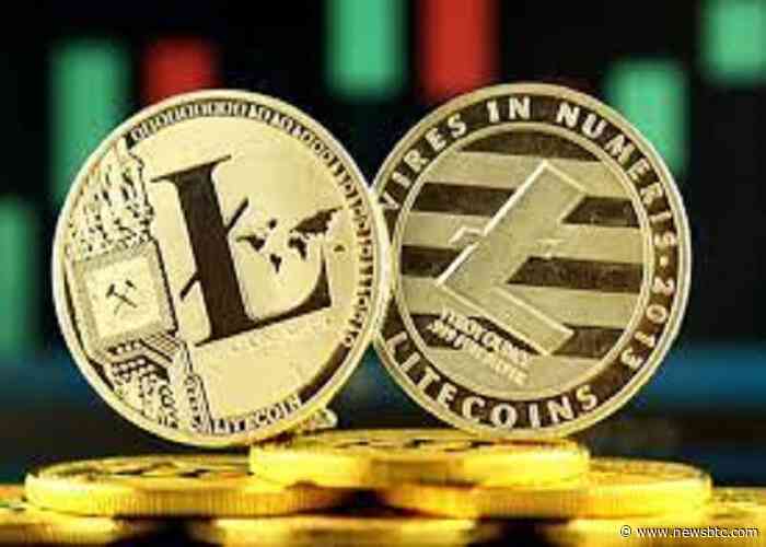 Litecoin (LTC) Records Spike In Active Addresses Following Launch of LTC-20: Santiment