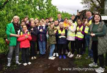 Sint-Truiden: Truiense leerlingen maken kennis met de boerenstiel
