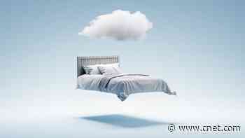 Sleep Experts Reveal the Meaning Behind Popular Dream Scenarios     - CNET