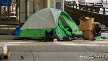Toronto city council declares homelessness an emergency