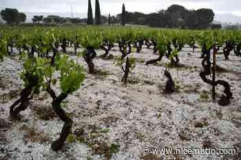 Des grêlons de la taille de noix sont tombés dans ce village du Var