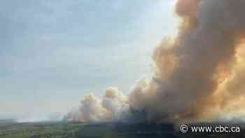 Evacuation alert area expanded for Red Creek wildfire in B.C.'s Peace River region