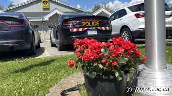 What we know about the shooting of police officers in Bourget, Ont.