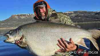 U.S. fisher's lake trout catch poses challenge to record set in N.W.T.