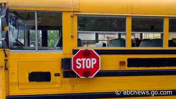 Student waiting to board school bus killed by swerving pickup truck: Sheriff