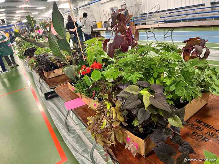 Over 700 plant varieties offered at Mother's Day Plant Sale