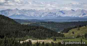 Albertans love their own backyard but few see the environment as an election issue
