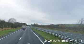 Paramedics treated seven people after three-vehicle crash closed the A1 in Northumberland