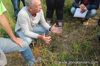 Big bug benefits: Alberta scientist releases guide identifying cow dung insects
