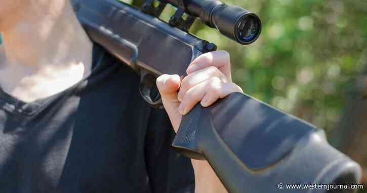 Op-Ed: Gun-Grabbers Break Out These 4 Common Myths Every Time There's a Shooting