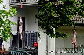 Tote Schafe hängen am Haus: Was ist da los in Augustdorf?